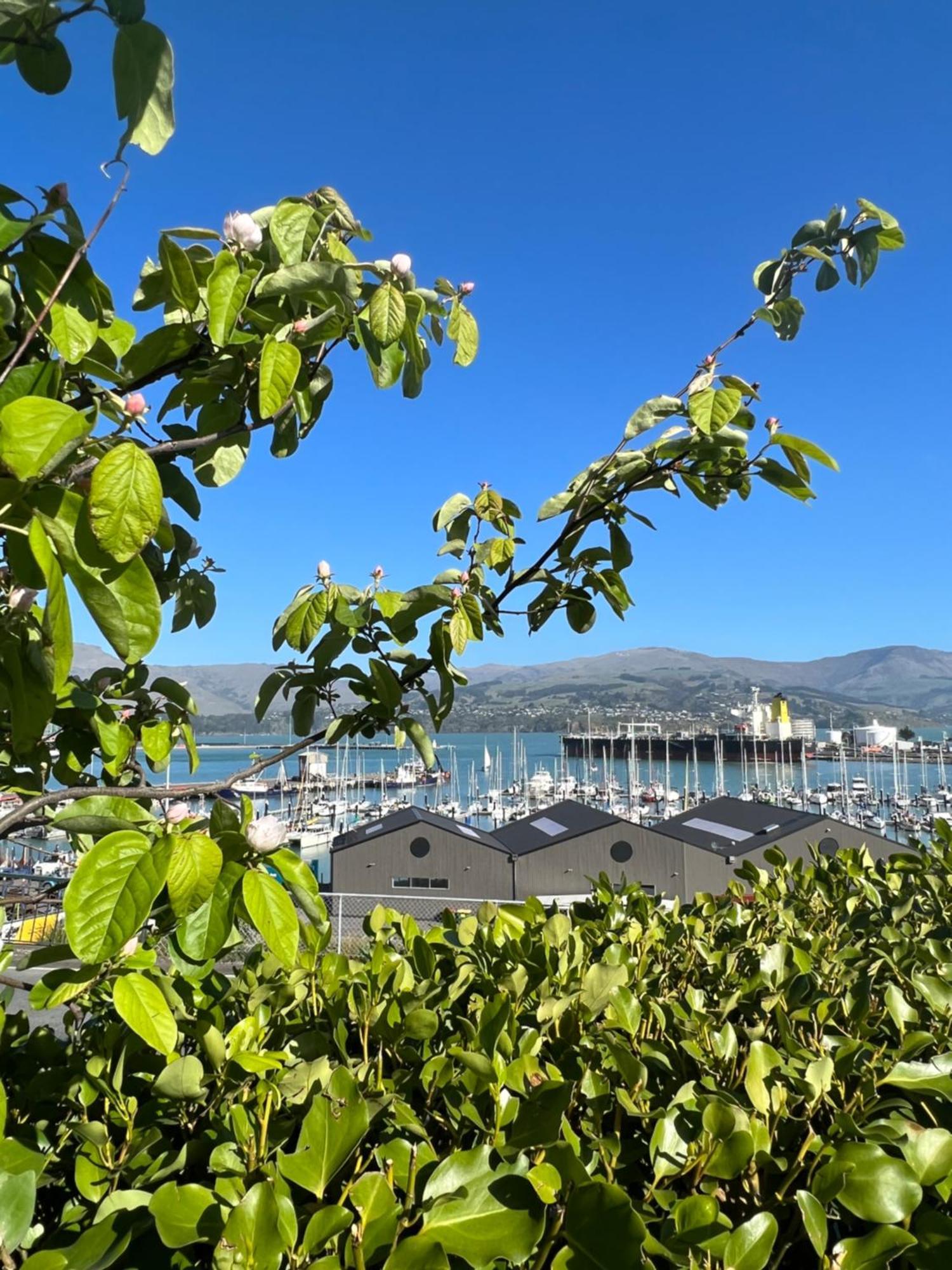 Sea Views In Luxury At Lyttelton Boatique House - 14 Km From Christchurch Buitenkant foto