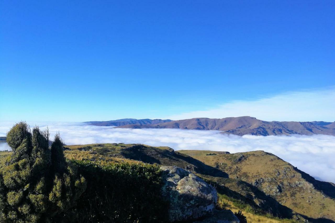 Sea Views In Luxury At Lyttelton Boatique House - 14 Km From Christchurch Buitenkant foto